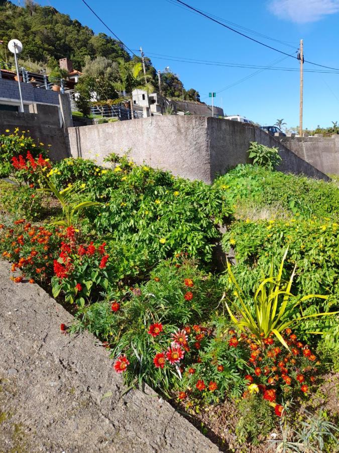 Panoramic Ocean View House Villa Sao Roque Do Faial Exterior photo